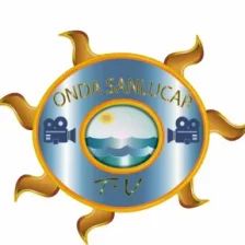 Tamil Olli India